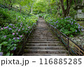 長谷寺 116885285