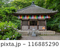 長谷寺 116885290