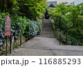 長谷寺 116885293