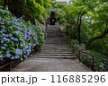 長谷寺 116885296