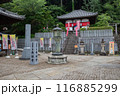 長谷寺 116885299