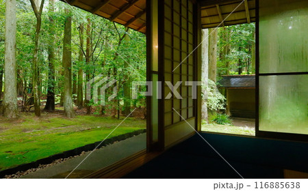 椿大神社にある茶室・鈴松庵の広間から見える茶庭の風景 116885638