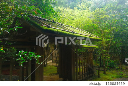 椿大神社にある茶室・鈴松庵への入り口の風情のある門 116885639