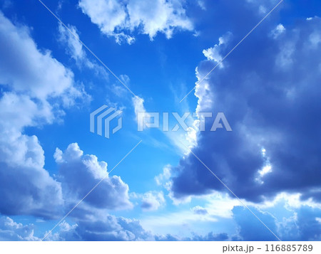 青空 116885789