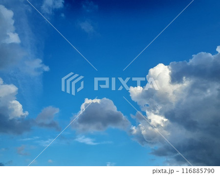 青空 116885790