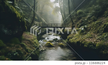 Tranquil green forest Landscape with Serene River and old Sunlit Bridge. Misty fresh nature environment. Tranquil green forest Landscape with Serene River and old Sunlit Bridge. Misty fresh nature environment. 116886224