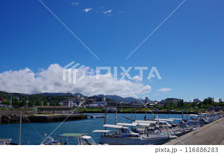 兵庫県淡路島　洲本港周辺の景色 116886283