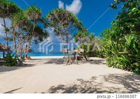 Chairs and umbrellas at luxury beach with blue ocean. Holiday tropical banner 116886387