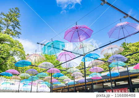 法多山尊永寺のアンブレラスカイ(静岡県) 116886408