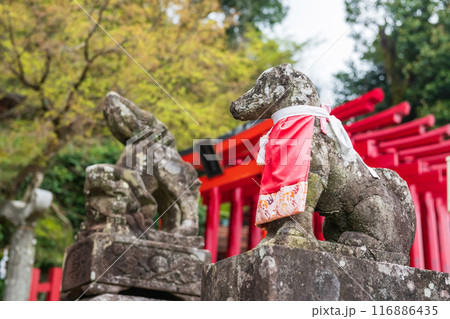 Fox statue at Torii red wood gates of Yutoku Inari Shrine, Kashima Fox statue at Torii red wood gates of Yutoku Inari Shrine, Kashima 116886435