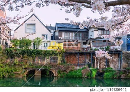 hotel and hot spring ryokan with sakura cherry blossom at Ureshino hotel and hot spring ryokan with sakura cherry blossom at Ureshino 116886442