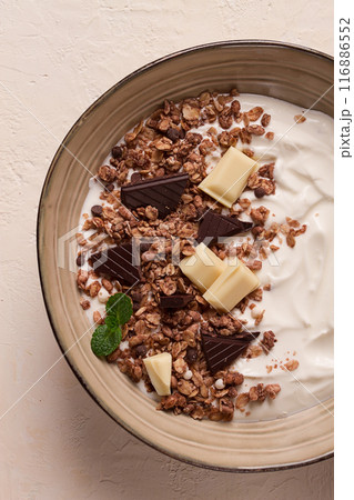 yogurt with chocolate muesli, breakfast, close-up, fork on top, no people, 116886552
