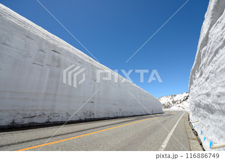 根雪 雪積 積雪 116886749