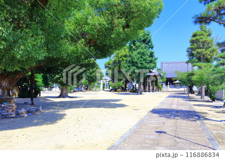 【香川県】四国霊場「第76番札所」金倉寺（鶏足山・宝幢院） 116886834