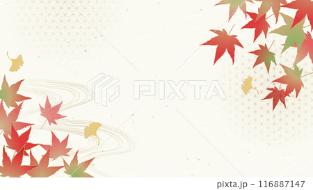 秋の和風の背景／紅葉と銀杏 116887147