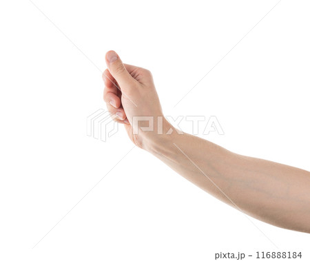 Adult man hand hold something isolated on white background 116888184