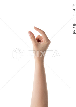 Young female hand to hold something isolated on white background 116888193