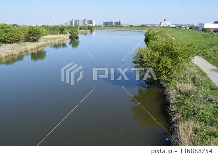 小貝川 利根川水系 茨城県南部 116888754