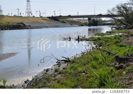 小貝川 利根川水系 茨城県南部 116888755