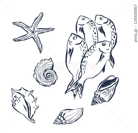 Vector underwater doddle set of fishes, starfish and shells. Hand painted sea elements isolated on white background. Aquatic illustration for design, print or background. Trendy nautical collection. 116888867
