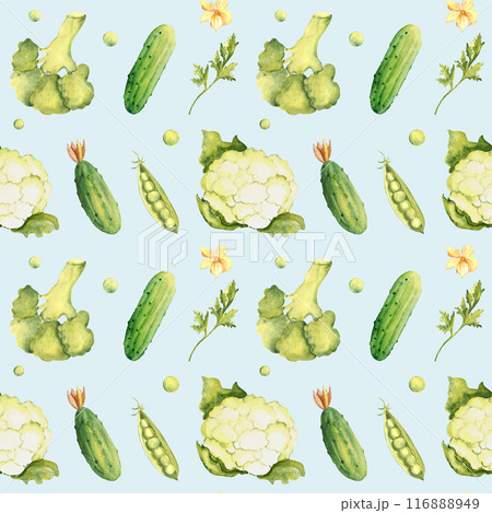 Green Vegetables Watercolor Seamless Pattern with Peas, Broccoli, Cauliflower and Cucumbers, Parsley plant on a blue background. Can be used for kitchen textile prints, product packaging design. 116888949