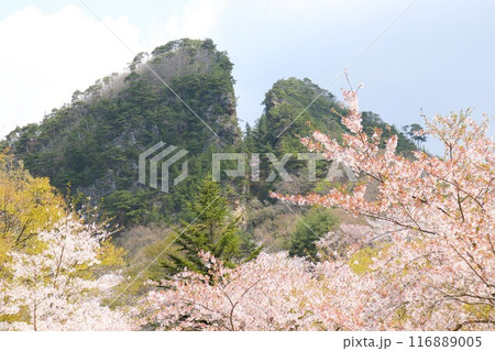 佐渡島の金山　佐渡金山の道游の割戸　世界遺産　佐渡島　新潟県 116889005