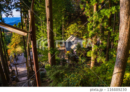 【群馬県】妙義山 中之嶽神社の急階段から甲子大國神社を見下ろす 【群馬県】妙義山 中之嶽神社の急階段から甲子大國神社を見下ろす 116889230