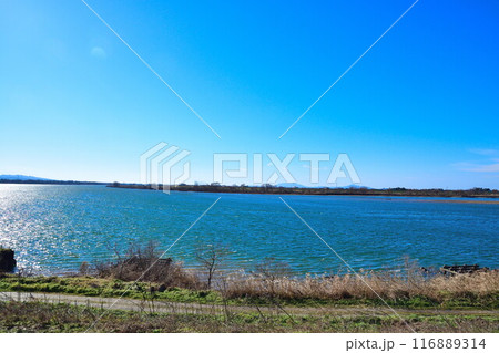 阿賀野川（新潟県） 116889314
