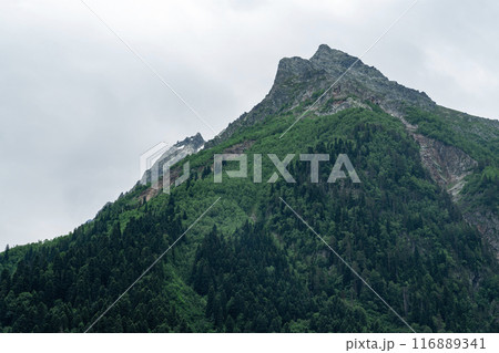 Aerial View of a Mountain Valley in the Caucasus Mountains Aerial View of a Mountain Valley in the Caucasus Mountains 116889341
