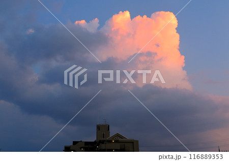 積雲の頂きが、夕日のオレンジ色に染まっている夏空 積雲の頂きが、夕日のオレンジ色に染まっている夏空 116889353