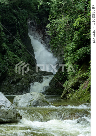 北杜市尾白川渓谷の滝 116889397