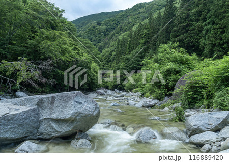 雨後の北杜市の尾白川渓谷 雨後の北杜市の尾白川渓谷 116889420