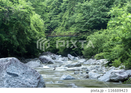 雨後の北杜市の尾白川渓谷 雨後の北杜市の尾白川渓谷 116889423