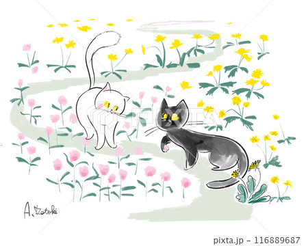 白猫と黒猫のイラスト 116889687