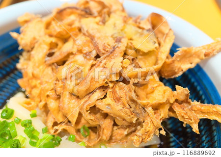 ぶっかけうどんと大きなかき揚げ 116889692