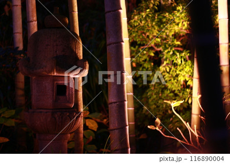 ライトアップ ライトアップ 116890004