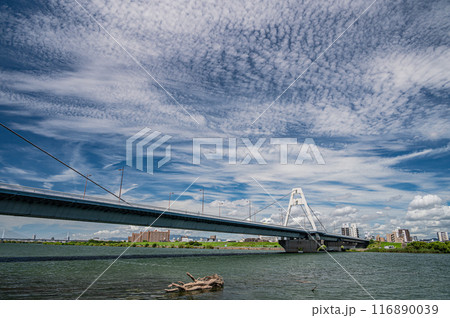 夏の淀川風景 豊里大橋 夏の淀川風景 豊里大橋 116890039