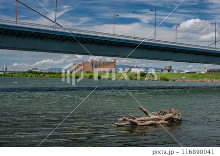 夏の淀川風景　豊里大橋 116890041