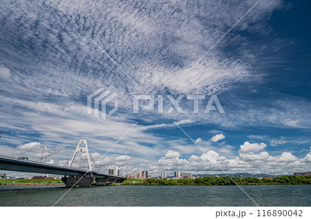 夏の淀川風景 豊里大橋 夏の淀川風景 豊里大橋 116890042