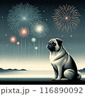犬と花火 116890092