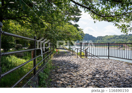 京都　夏の宇治 116890150