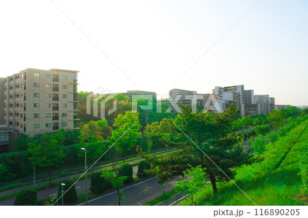 【大阪府】4月・北千里駅前周辺の街風景 116890205