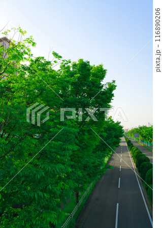 【大阪府】4月・北千里駅前周辺の街風景 116890206