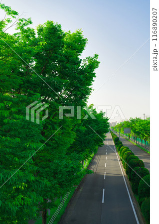 【大阪府】4月・北千里駅前周辺の街風景 【大阪府】4月・北千里駅前周辺の街風景 116890207