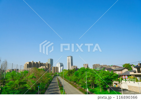 【大阪府】4月・北千里駅前周辺の街並み 【大阪府】4月・北千里駅前周辺の街並み 116890366