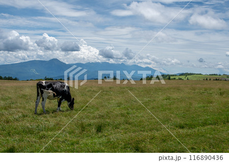 美ヶ原高原 美ヶ原高原 116890436