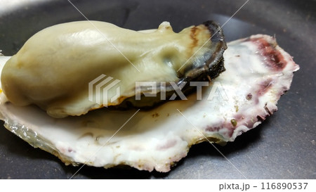 蒸し牡蠣 蒸し牡蠣 116890537