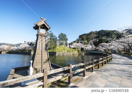 鹿野城跡公園の春風景 116890588
