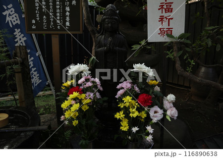 四ツ谷　 陽運寺 116890638