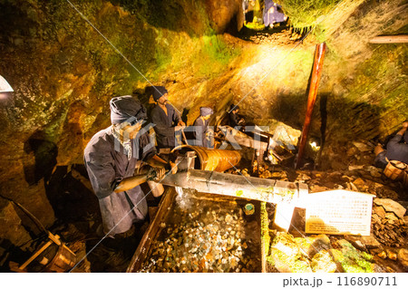 水上輪(すいしょうりん) 水上輪(すいしょうりん) 116890711